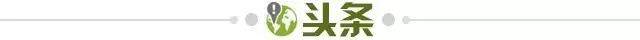 1645485727544070392.jpg 头条.jpg